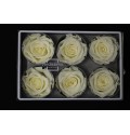 ΤΡΙΑΝΤΑΦΥΛΛΑ "ΑΠΟΧΥΜΩΜΕΝΑ¨" ΛΕΥΚΑ ROSEN  PRESERVED WHITE